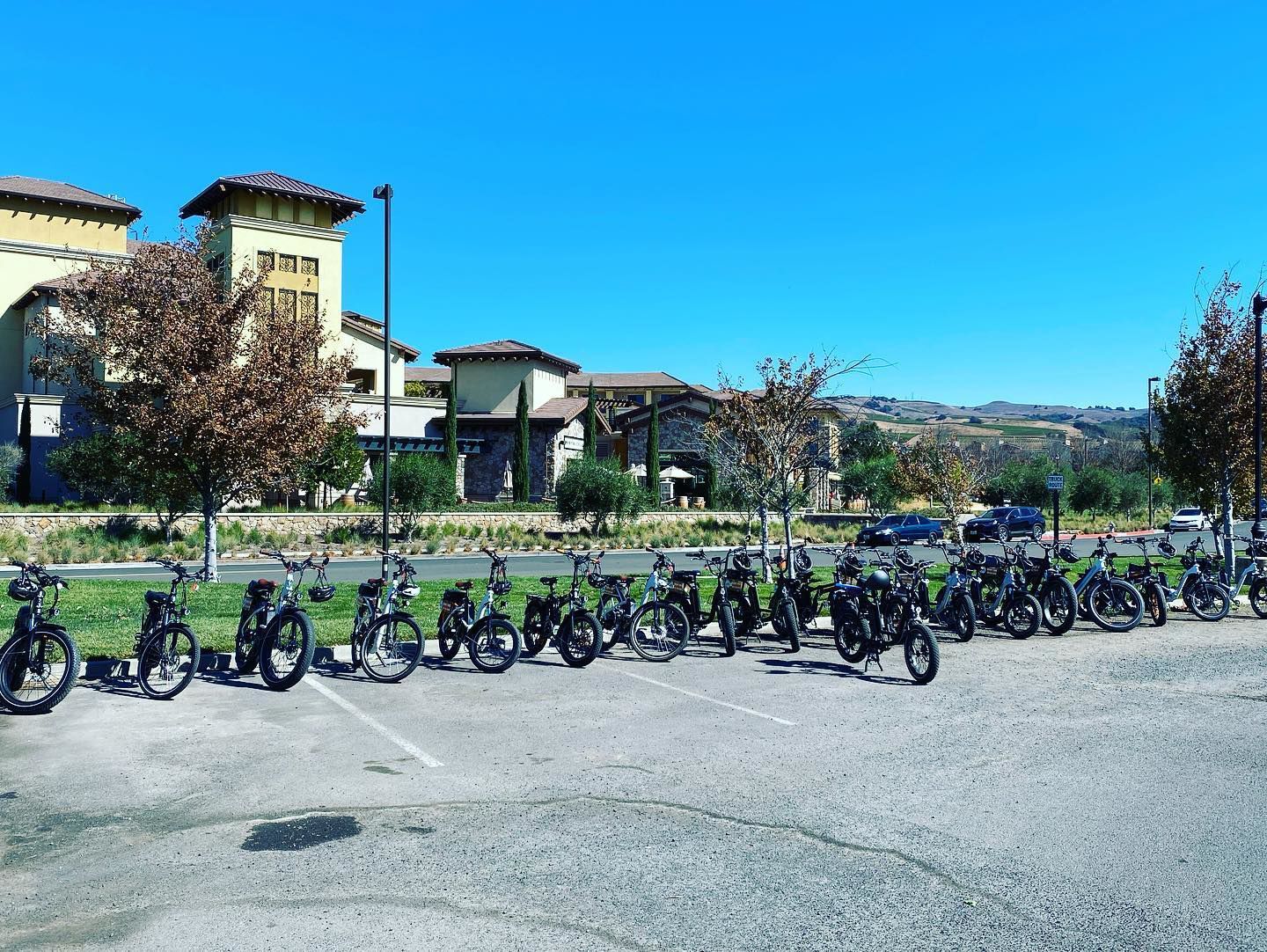 Fat Tire Bike Rentals
